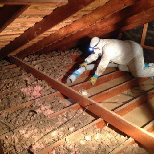insulation removal ottawa